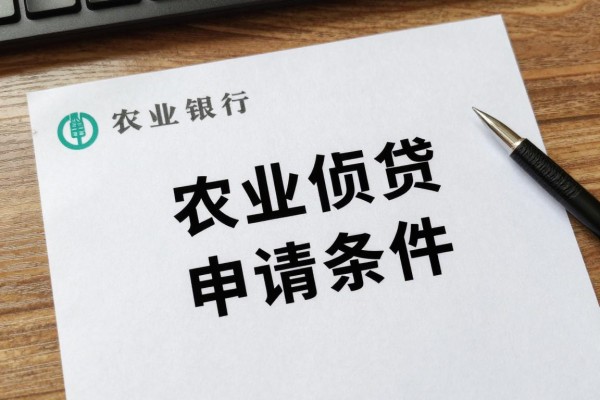 2025年最新农业银行小额贷款需要什么条件：农行小额贷款申请条件有哪些