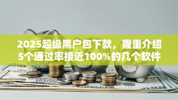 2025超级黑户包下款，隆重介绍5个通过率接近100%的几个软件