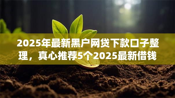 2025年最新黑户网贷下款口子整理，真心推荐5个2025最新借钱app来袭！