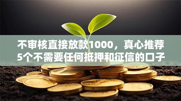 不审核直接放款1000，真心推荐5个不需要任何抵押和征信的口子