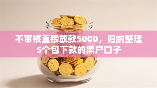 不审核直接放款5000，归纳整理5个包下款的黑户口子