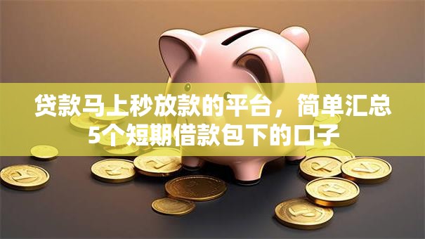 贷款马上秒放款的平台,简单汇总5个短期借款包下的口子 贷款马上秒放款的平台,简单汇总5个短期借款包下的口子