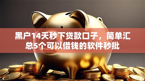 黑户14天秒下贷款口子，简单汇总5个可以借钱的软件秒批
