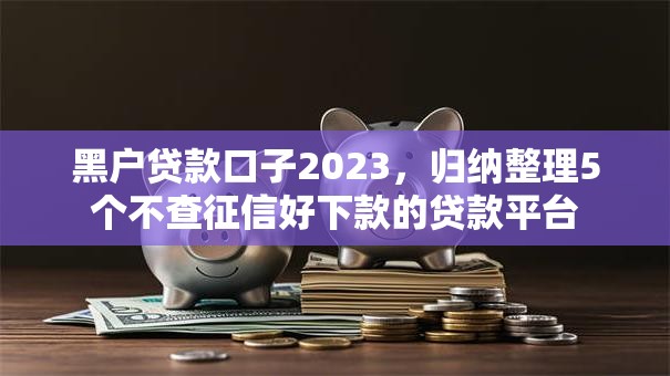 黑户贷款口子2023，归纳整理5个不查征信好下款的贷款平台