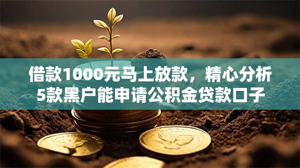借款1000元马上放款，精心分析5款黑户能申请公积金贷款口子