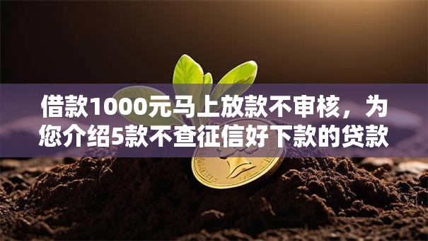 借款1000元马上放款不审核,为您介绍5款不查征信好下款的贷款平台 借款1000元马上放款不审核,为您介绍5款不查征信好下款的贷款平台