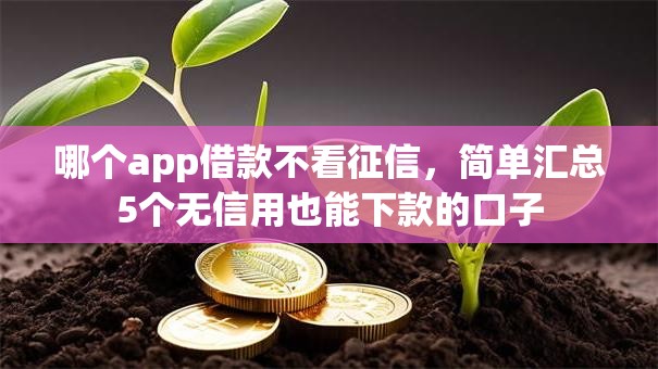 哪个app借款不看征信，简单汇总5个无信用也能下款的口子