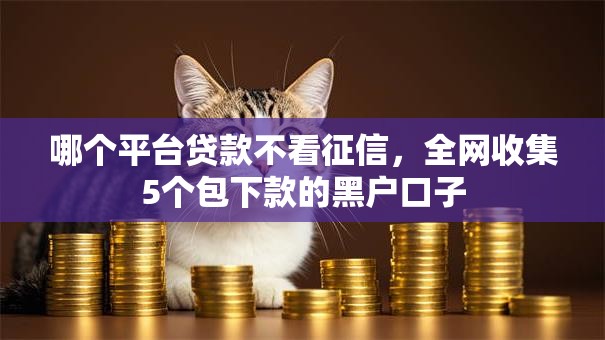 哪个平台贷款不看征信，全网收集5个包下款的黑户口子