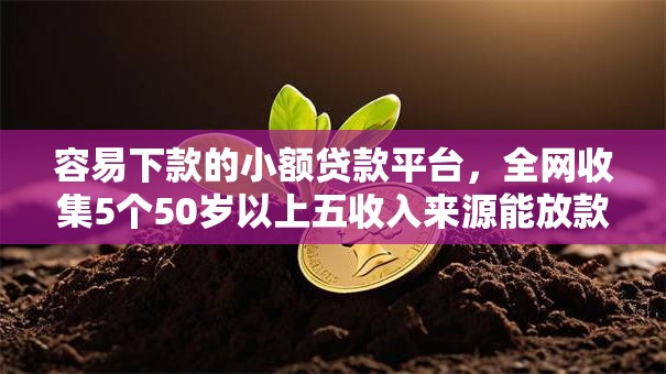容易下款的小额贷款平台，全网收集5个50岁以上五收入来源能放款的平台