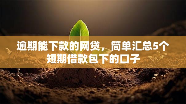 逾期能下款的网贷,简单汇总5个短期借款包下的口子 逾期能下款的网贷,简单汇总5个短期借款包下的口子