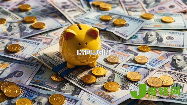 2024年能下款口子论坛，十大征信花了5万必下口子