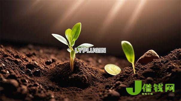 黑户花户借款必下口子2024，十大有严重逾期还能下款的网贷口子