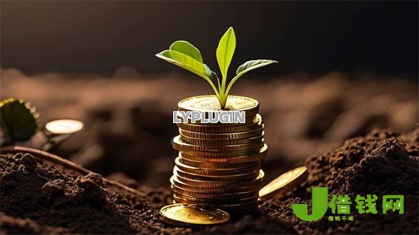 黑户哪里可以借1000块来救急，十大直接借钱到微信钱包的软件