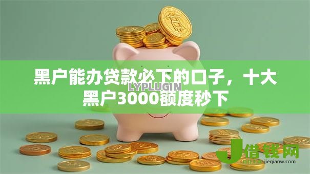 黑户能办贷款必下的口子，十大黑户3000额度秒下