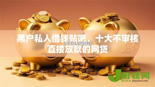黑户私人借钱贴吧,十大不审核直接放款的网贷 黑户私人借钱贴吧,十大不审核直接放款的网贷