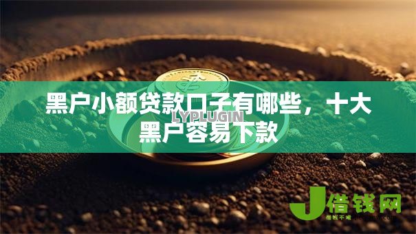 黑户小额贷款口子有哪些，十大黑户容易下款
