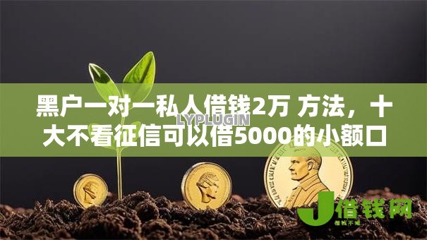 黑户一对一私人借钱2万 方法，十大不看征信可以借5000的小额口子