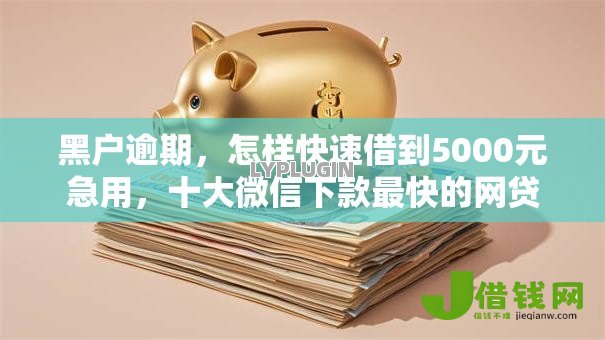 黑户逾期，怎样快速借到5000元急用，十大微信下款最快的网贷