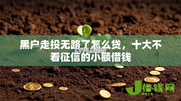 黑户走投无路了怎么贷,十大不看征信的小额借钱 黑户走投无路了怎么贷,十大不看征信的小额借钱