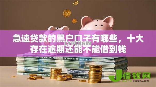 急速贷款的黑户口子有哪些，十大存在逾期还能不能借到钱