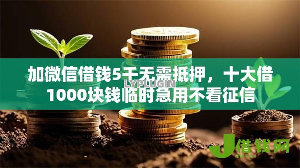 加微信借钱5千无需抵押,十大借1000块钱临时急用不看征信 加微信借钱5千无需抵押,十大借1000块钱临时急用不看征信