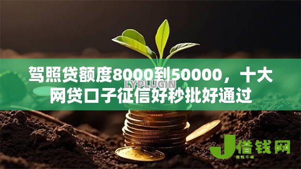 驾照贷额度8000到50000,十大网贷口子征信好秒批好通过 驾照贷额度8000到50000,十大网贷口子征信好秒批好通过