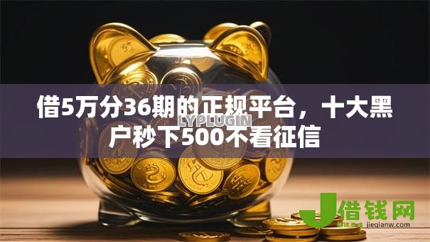 借5万分36期的正规平台，十大黑户秒下500不看征信