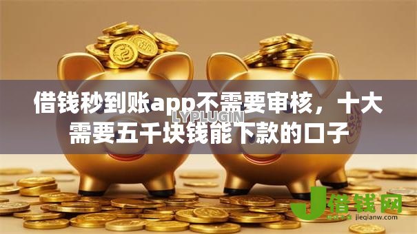 借钱秒到账app不需要审核，十大需要五千块钱能下款的口子