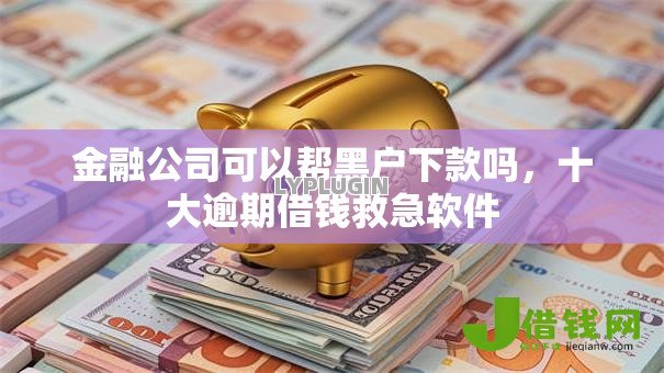 金融公司可以帮黑户下款吗,十大逾期借钱救急软件 金融公司可以帮黑户下款吗,十大逾期借钱救急软件