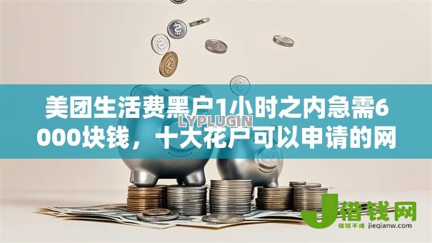 美团生活费黑户1小时之内急需6000块钱，十大花户可以申请的网贷