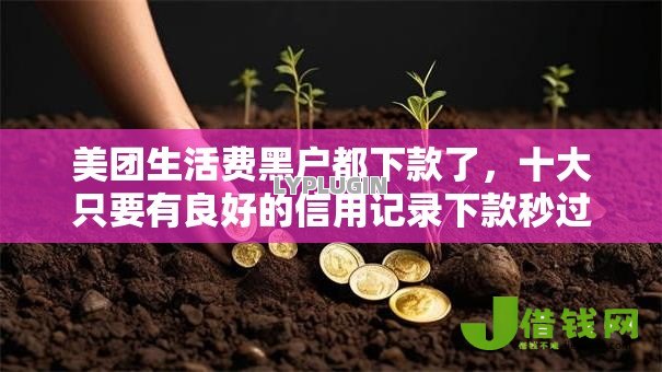 美团生活费黑户都下款了，十大只要有良好的信用记录下款秒过的网贷口子