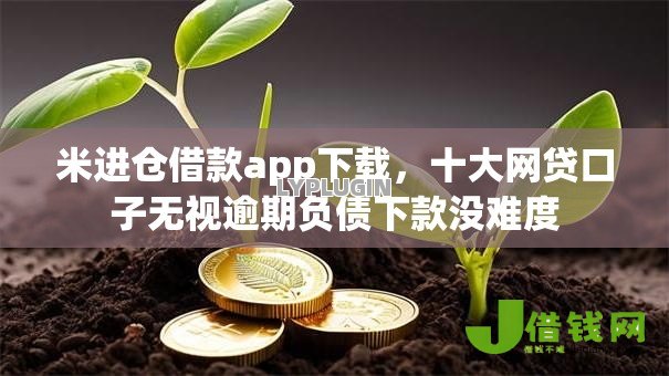米进仓借款app下载，十大网贷口子无视逾期负债下款没难度