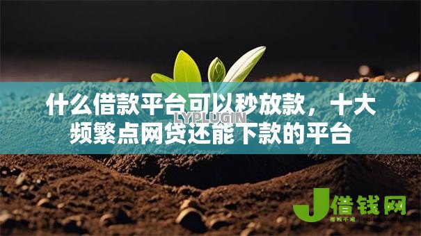 什么借款平台可以秒放款，十大频繁点网贷还能下款的平台
