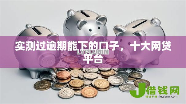 实测过逾期能下的口子,十大网贷平台 实测过逾期能下的口子,十大网贷平台