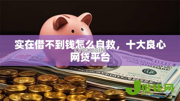 实在借不到钱怎么自救，十大良心网贷平台