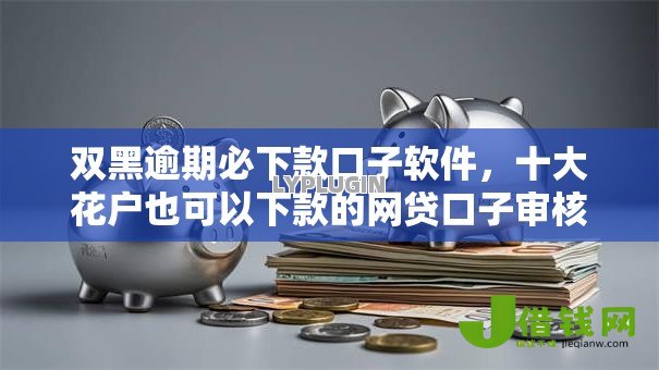 双黑逾期必下款口子软件，十大花户也可以下款的网贷口子审核易过