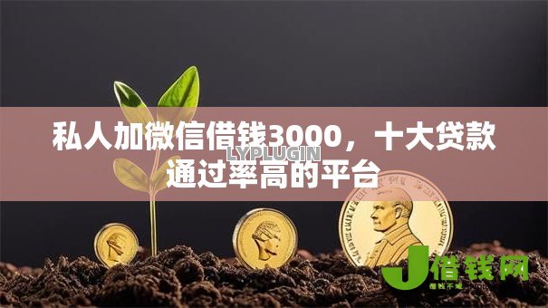 私人加微信借钱3000，十大贷款通过率高的平台