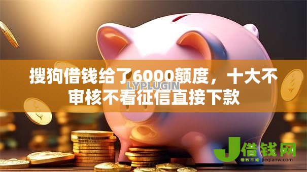 搜狗借钱给了6000额度，十大不审核不看征信直接下款
