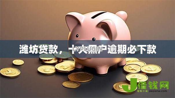 潍坊贷款,十大黑户逾期必下款 潍坊贷款,十大黑户逾期必下款