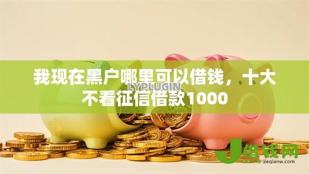 我现在黑户哪里可以借钱，十大不看征信借款1000
