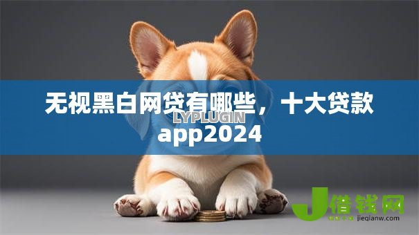 无视黑白网贷有哪些，十大贷款app2024