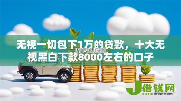 无视一切包下1万的贷款，十大无视黑白下款8000左右的口子