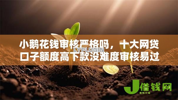 小鹅花钱审核严格吗，十大网贷口子额度高下款没难度审核易过