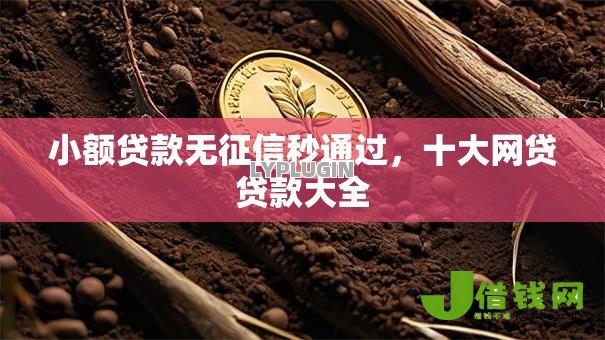 小额贷款无征信秒通过，十大网贷贷款大全