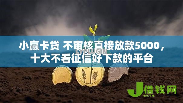 小赢卡贷 不审核直接放款5000，十大不看征信好下款的平台