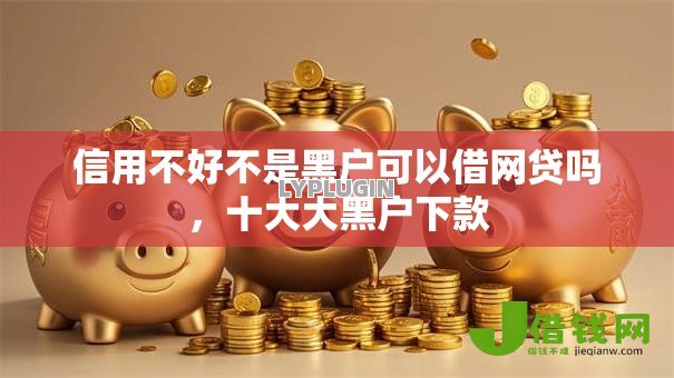 信用不好不是黑户可以借网贷吗，十大大黑户下款