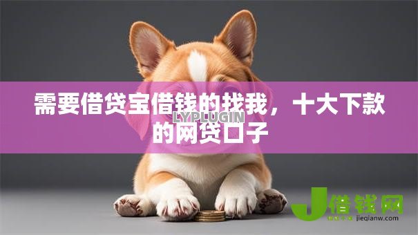 需要借贷宝借钱的找我，十大下款的网贷口子