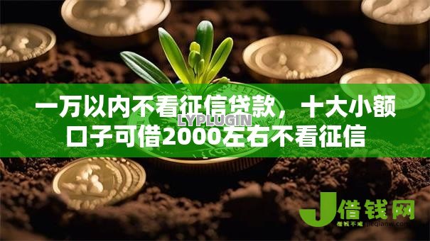 一万以内不看征信贷款，十大小额口子可借2000左右不看征信