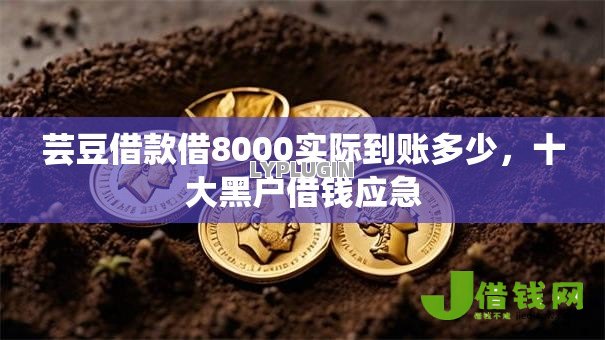 芸豆借款借8000实际到账多少，十大黑户借钱应急