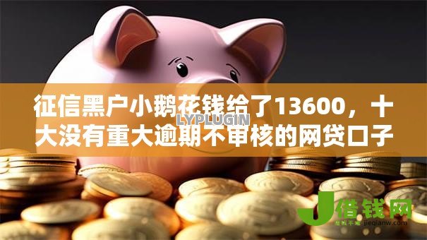 征信黑户小鹅花钱给了13600，十大没有重大逾期不审核的网贷口子